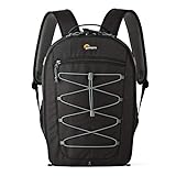 Lowepro LP36975-PWW, 300 AW Photo Classic Backpack Bag for Camera, Customizable, Tripod Attachment,…