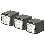 vhbw 3X Akku kompatibel mit Panasonic HDC-HS700, HDC-HS9, HDC-SD100 Videokamera Camcorder (2000mAh,…