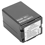vhbw Akku kompatibel mit Panasonic HDC-HS200K, HDC-HS20, HDC-HS200 Videokamera Camcorder (3150 mAh,…