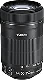Canon EF-S 55-250mm 1:4-5.6 is STM Tele-Zoomobjektiv (58mm Filtergewinde) schwarz