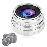 Bewinner Kameraobjektiv 35 mm F1.6-16 Objektiv CCTV C-Mount-Objektiv mit großer Blende für NEX M 4/3…